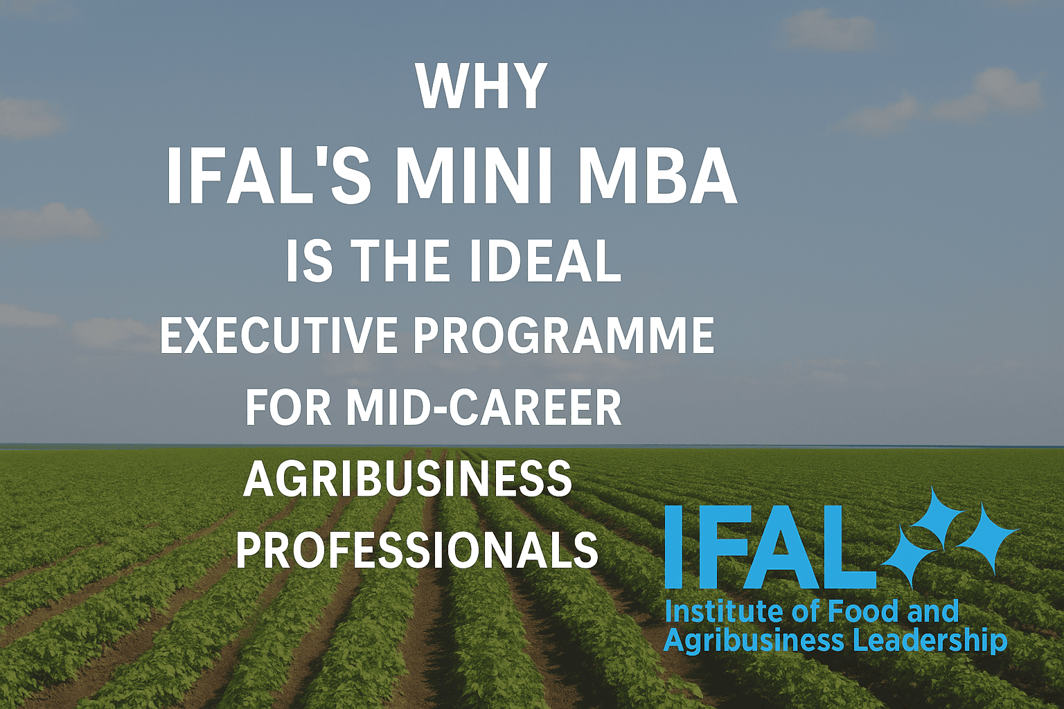 Why ifals mini mba is the ideal executive programme for mid career agribusiness professionals