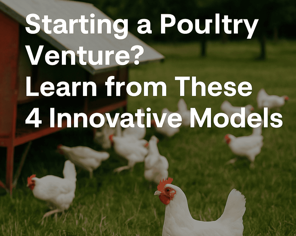 Starting a poultry venture learn from these 4 innovative models